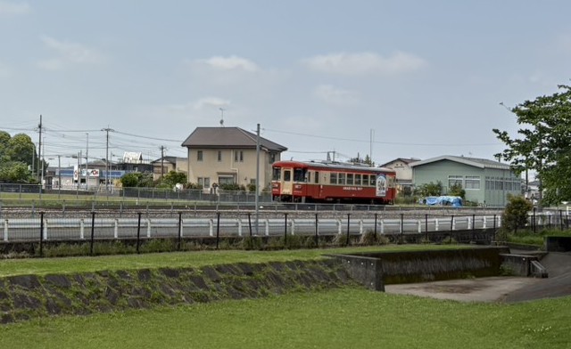 遊んでる様子